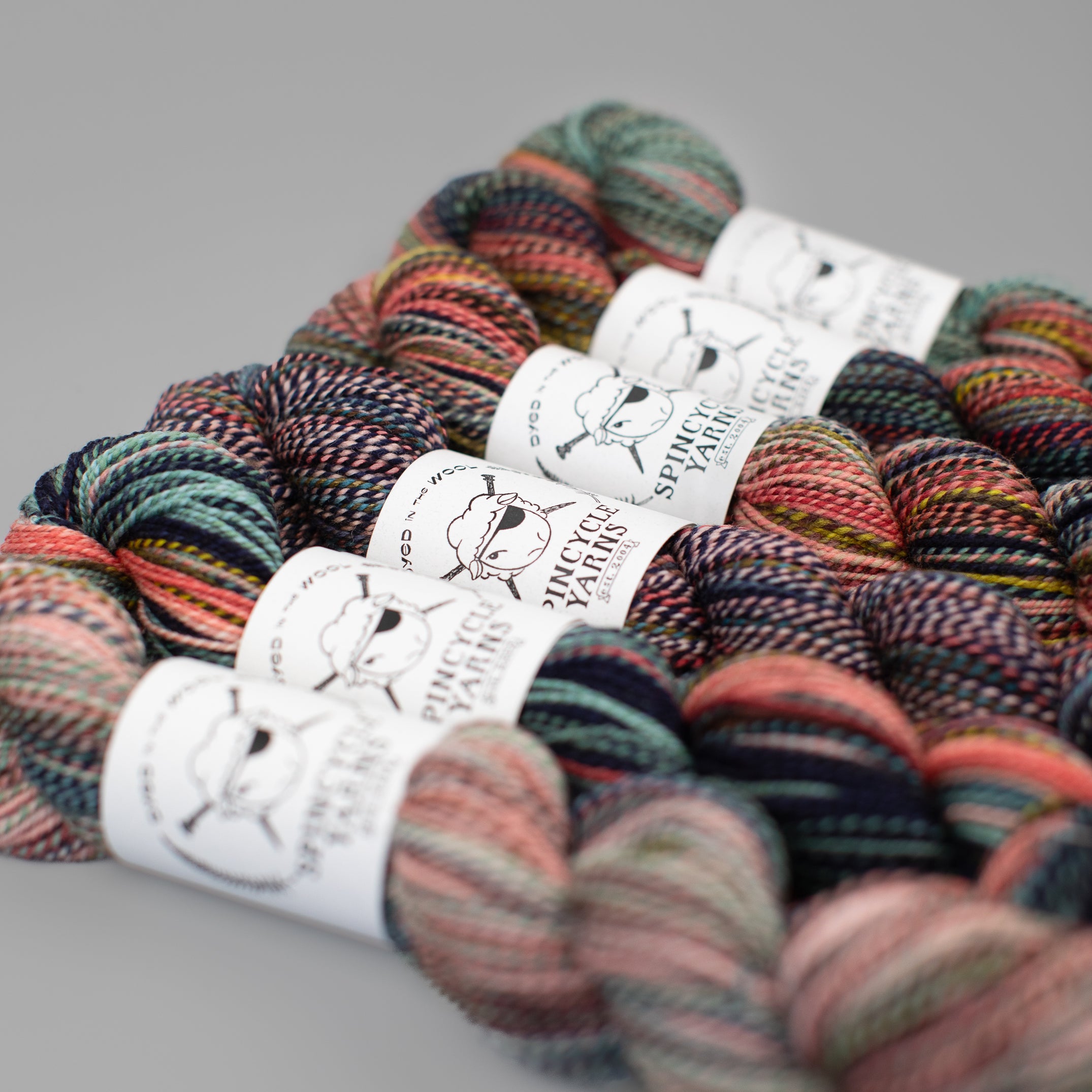 GHOST RANCH Dyed In The Wool Spincycle Yarns