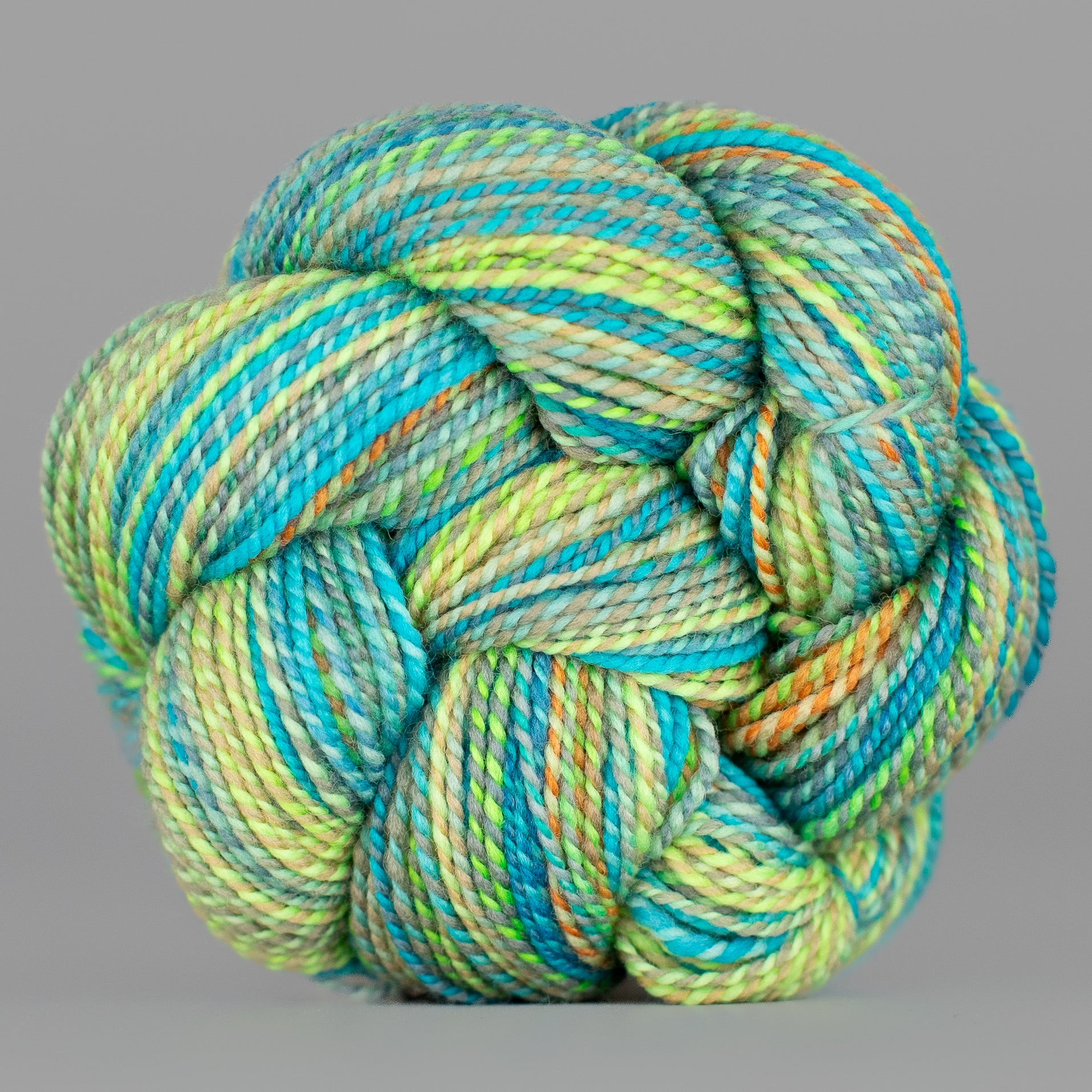 SILVER LINING Dyed In The Wool Spincycle Yarns