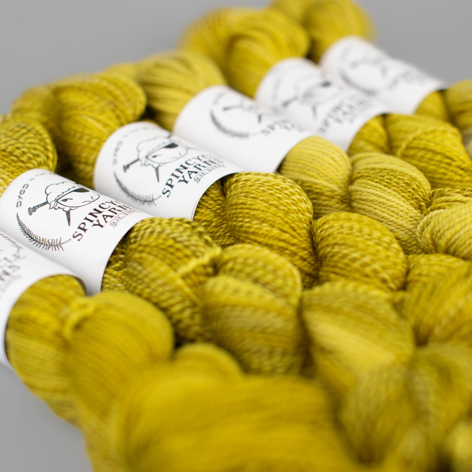 SCRANTON Dyed In The Wool NEW COLORWAY! Spincycle Yarns